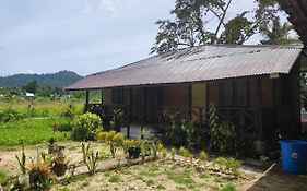 Nelmann'S Nipa Huts